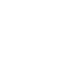 SEBRAE